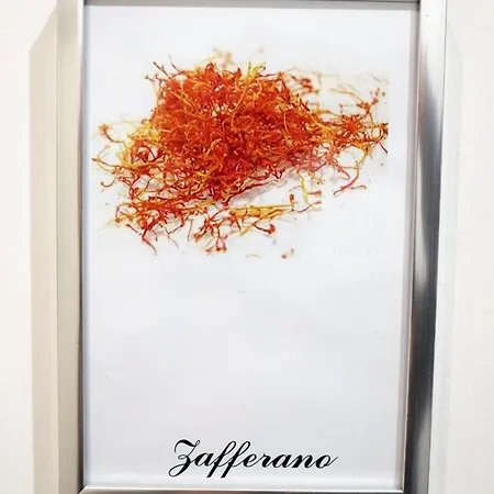 Bed and Breakfast Elisir