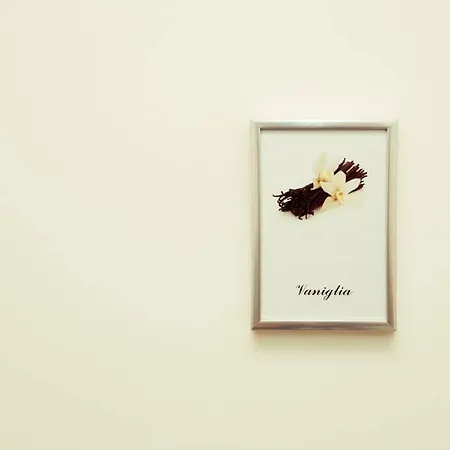 Elisir Πεσκάρα