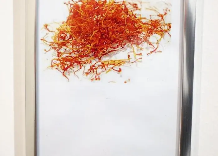 Bed & Breakfast Elisir