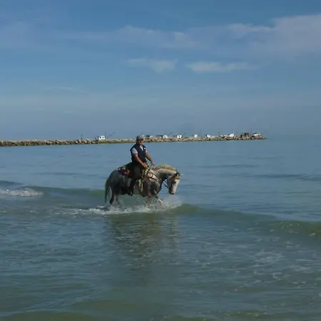 Bed & Breakfast Elisir 3*