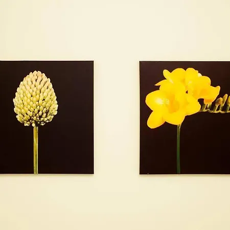 Bed & Breakfast Elisir 3*