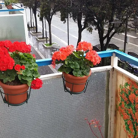 Bed & Breakfast Elisir 3*