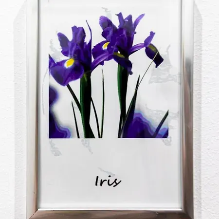 Elisir Bed & Breakfast 3*