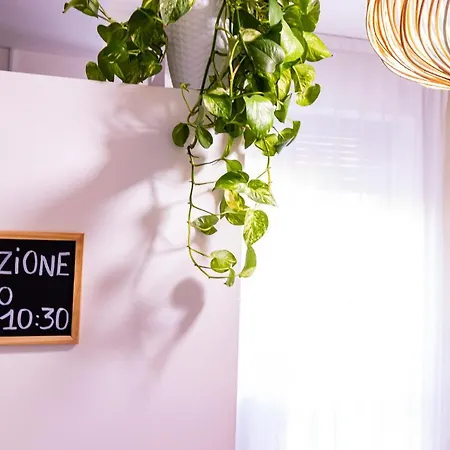 Elisir Bed & Breakfast 3*