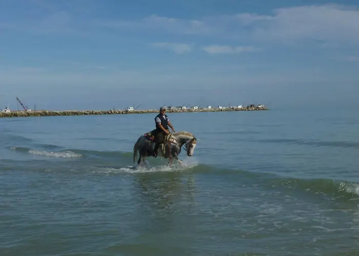 Bed & Breakfast Elisir 3*