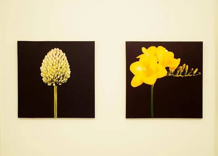 Bed & Breakfast Elisir 3*