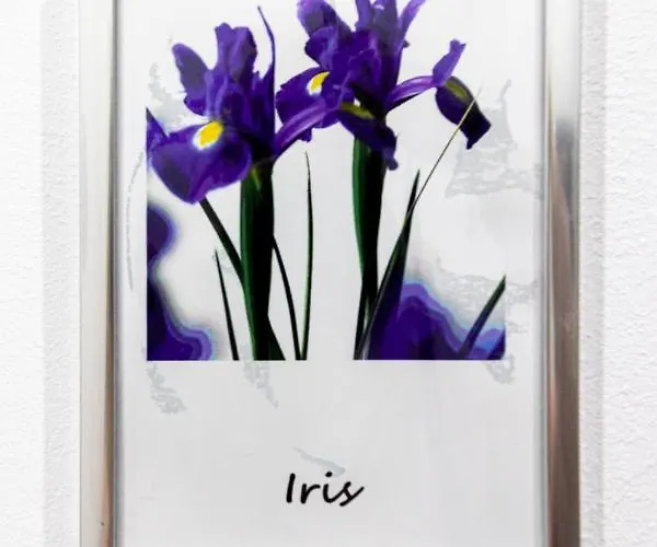 Elisir Bed & Breakfast 3*